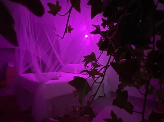 Appartamento Ga #124